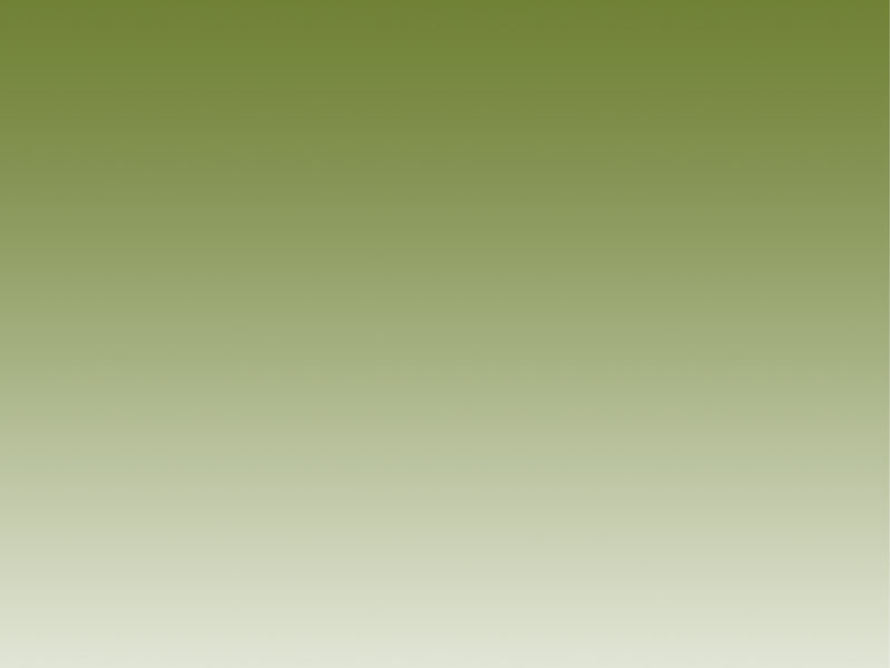 index2011001016.jpg