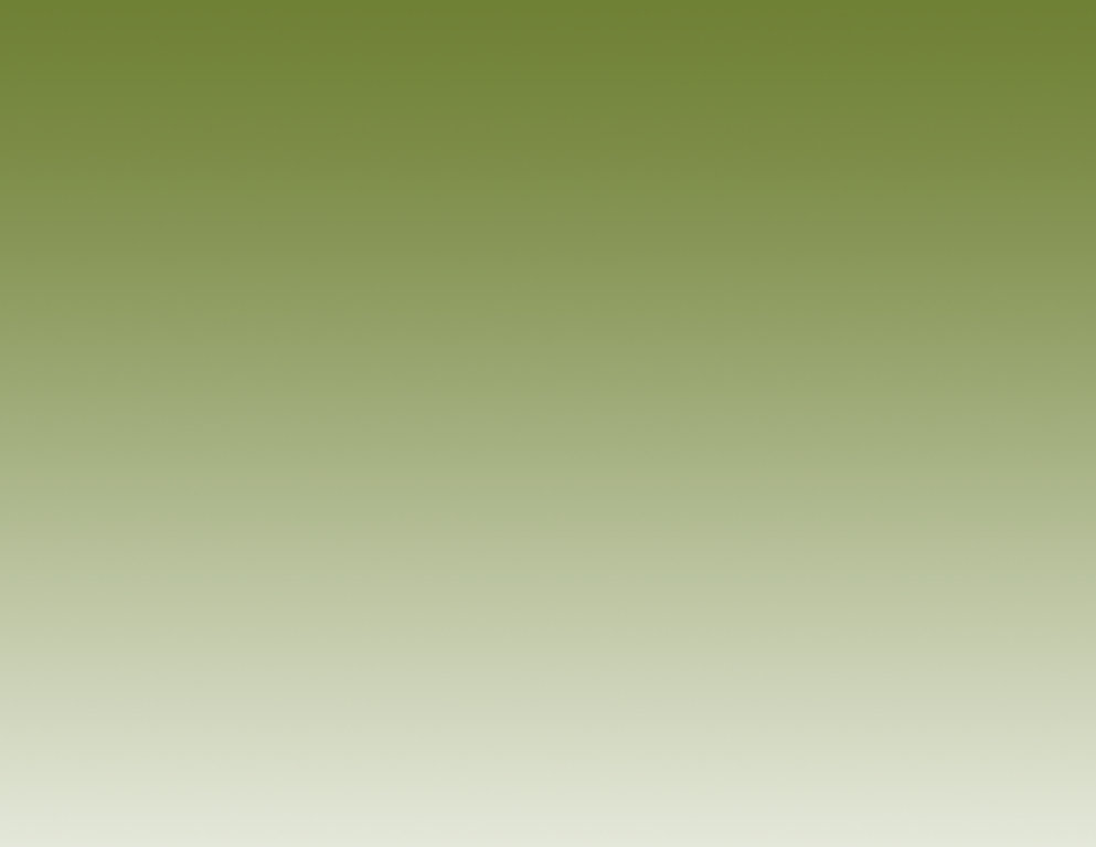 index2011001017.jpg