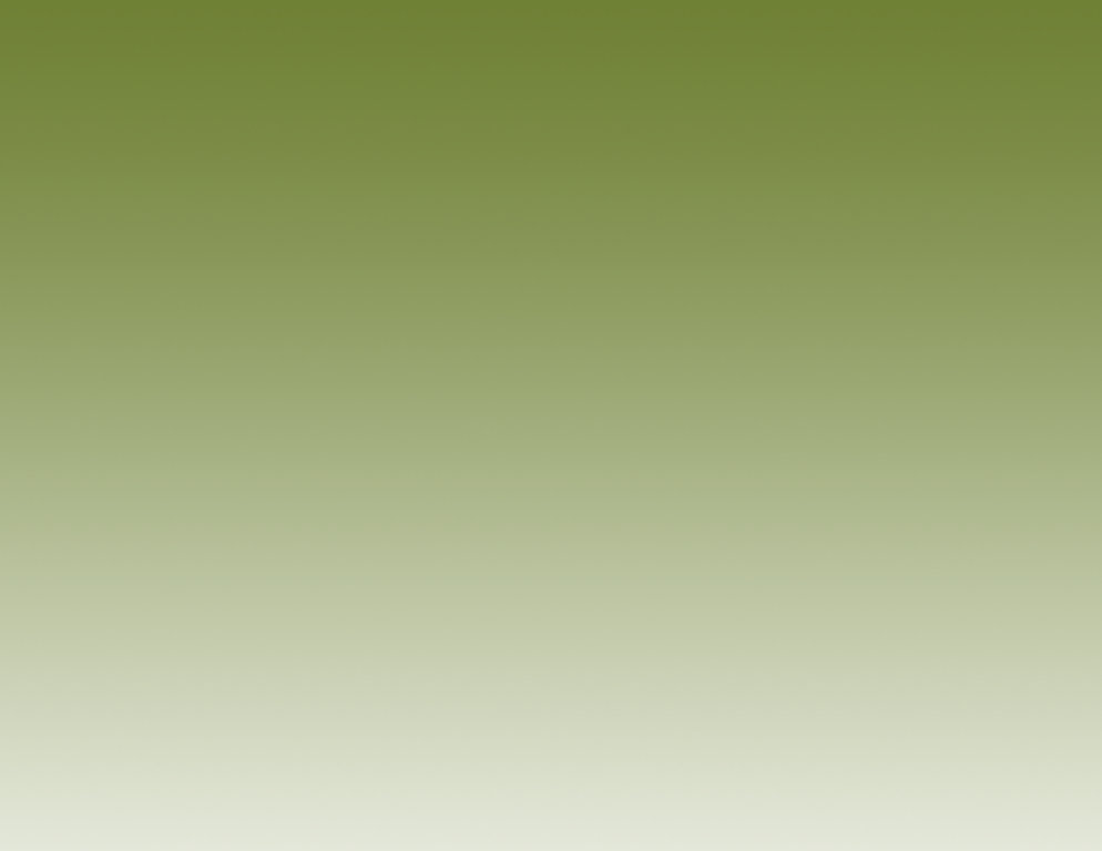 index2011003013.jpg